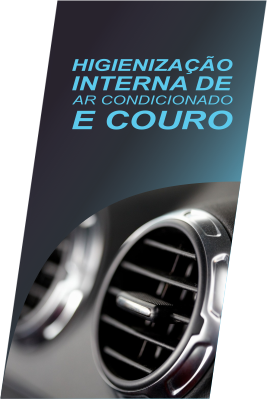 Higienização interna